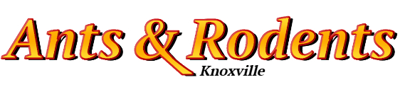 Knoxville Ant Exterminator & Rodent Control Company Logo